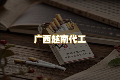 广西越南代工